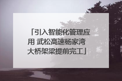 引入智能化管理应用 武松高速杨家湾大桥架梁提前完工