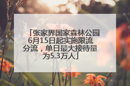 张家界国家森林公园6月15日起实施限流分流，单日最大接待量为5.3万人