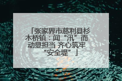 张家界市慈利县杉木桥镇：闻“汛”而动显担当 齐心筑牢“安全堤”
