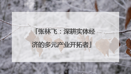 张林飞：深耕实体经济的多元产业开拓者