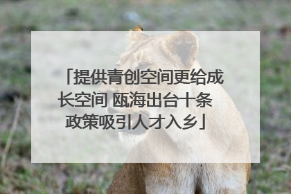 提供青创空间更给成长空间 瓯海出台十条政策吸引人才入乡