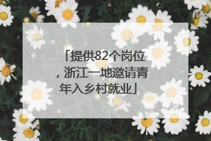 提供82个岗位，浙江一地邀请青年入乡村就业