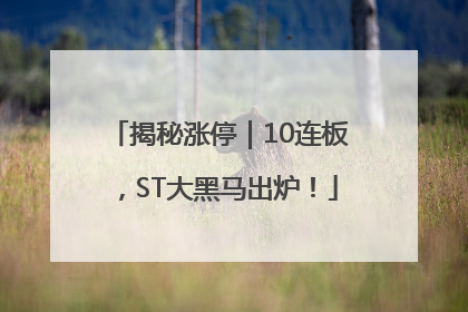揭秘涨停｜10连板，ST大黑马出炉！