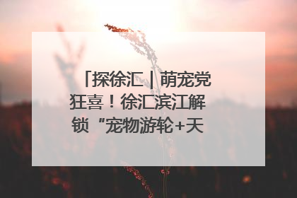 探徐汇｜萌宠党狂喜！徐汇滨江解锁“宠物游轮+天台乐园”双玩法