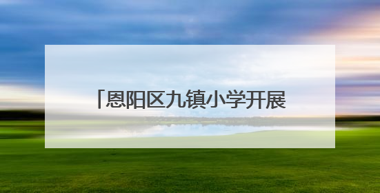 恩阳区九镇小学开展师德师风宣誓活动
