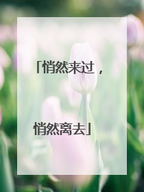 悄然来过，悄然离去