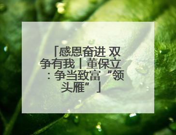 感恩奋进 双争有我丨董保立：争当致富“领头雁”