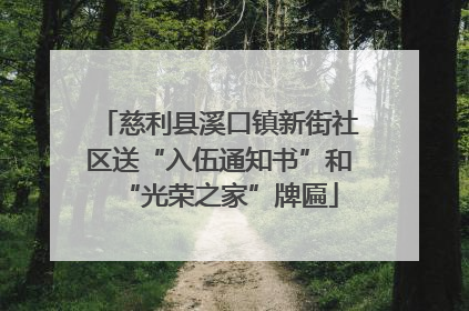 慈利县溪口镇新街社区送“入伍通知书”和“光荣之家”牌匾
