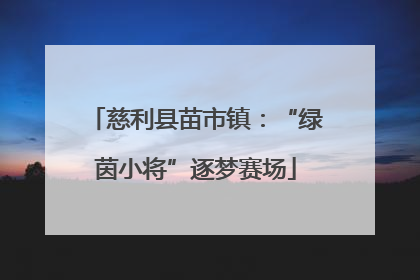 慈利县苗市镇：“绿茵小将”逐梦赛场