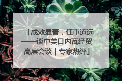成效显著，任重道远——谈中美日内瓦经贸高层会谈｜专家热评