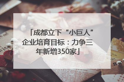 成都立下“小巨人”企业培育目标：力争三年新增350家