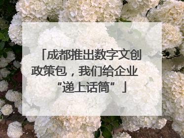 成都推出数字文创政策包，我们给企业“递上话筒”