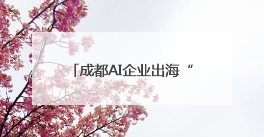 成都AI企业出海“破冰”：政府搭桥，中东首单落地沙特