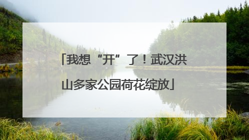 我想“开”了！武汉洪山多家公园荷花绽放