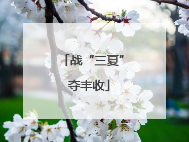 战“三夏” 夺丰收