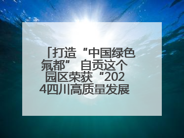 打造“中国绿色氟都” 自贡这个园区荣获“2024四川高质量发展产业园区”称号丨致敬2024经济影响力人物
