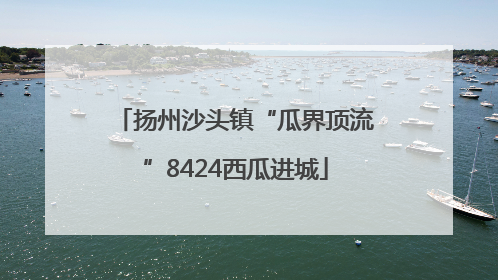 扬州沙头镇“瓜界顶流”8424西瓜进城