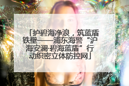 护碧海净浪，筑蓝盾铁壁——浦东海警“沪海安澜·碧海蓝盾”行动织密立体防控网