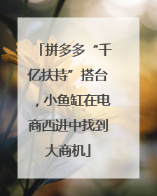 拼多多“千亿扶持”搭台，小鱼缸在电商西进中找到大商机