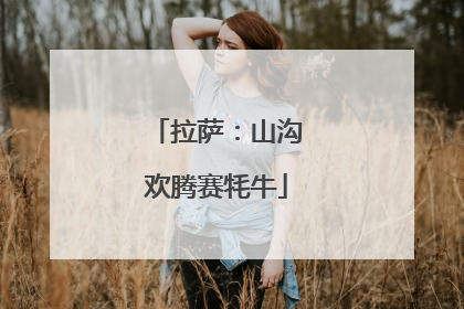 拉萨：山沟欢腾赛牦牛