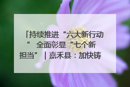 持续推进“六大新行动 ” 全面彰显“七个新担当”｜嘉禾县：加快铸造行业提档升级 助力绿色高质量发展