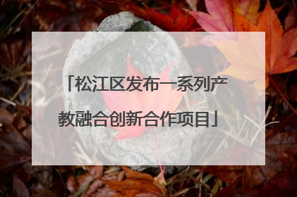 松江区发布一系列产教融合创新合作项目