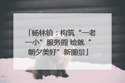杨林镇：构筑“一老一小”服务圈 绘就“朝夕美好”新图景