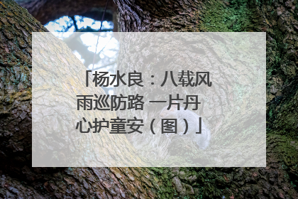 杨水良：八载风雨巡防路 一片丹心护童安（图）