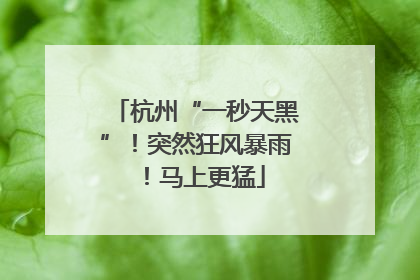 杭州“一秒天黑”！突然狂风暴雨！马上更猛