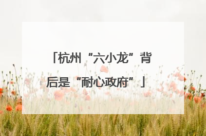 杭州“六小龙”背后是“耐心政府”