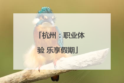 杭州：职业体验 乐享假期