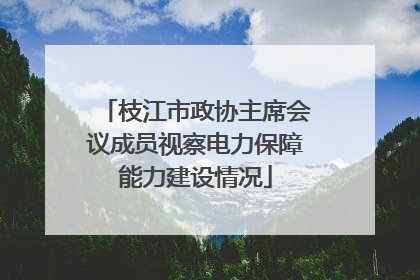 枝江市政协主席会议成员视察电力保障能力建设情况
