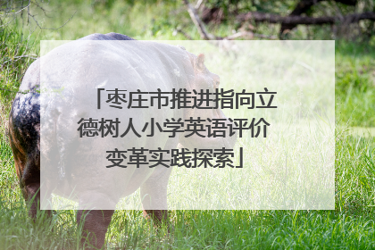 枣庄市推进指向立德树人小学英语评价变革实践探索