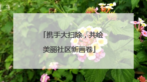 携手大扫除，共绘美丽社区新画卷