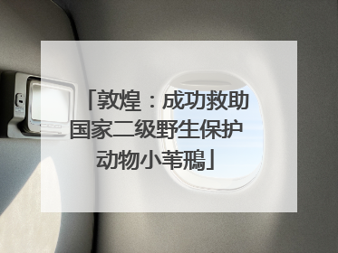 敦煌：成功救助国家二级野生保护动物小苇鳽
