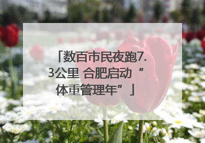 数百市民夜跑7.3公里 合肥启动“体重管理年”