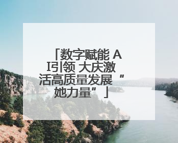 数字赋能 AI引领 大庆激活高质量发展“她力量”