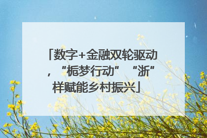 数字+金融双轮驱动，“栀梦行动”“浙”样赋能乡村振兴