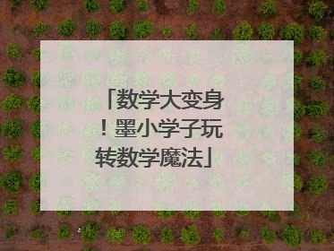数学大变身！墨小学子玩转数学魔法