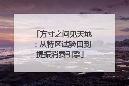 方寸之间见天地：从特区试验田到提振消费引擎