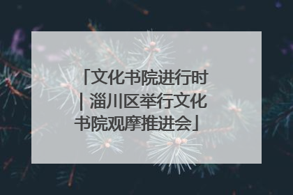 文化书院进行时｜淄川区举行文化书院观摩推进会