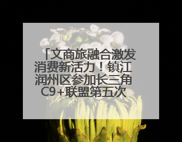 文商旅融合激发消费新活力！镇江润州区参加长三角C9+联盟第五次联席会议
