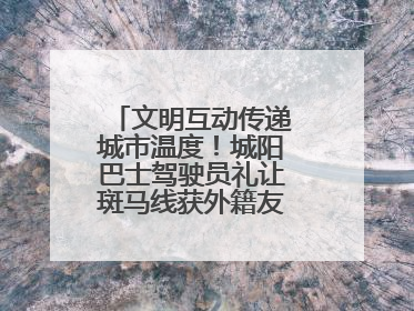 文明互动传递城市温度！城阳巴士驾驶员礼让斑马线获外籍友人鞠躬致谢