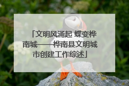 文明风涌起 蝶变桦南城——桦南县文明城市创建工作综述