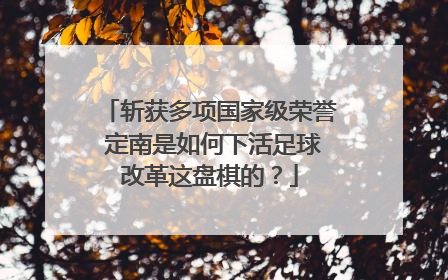 斩获多项国家级荣誉 定南是如何下活足球改革这盘棋的？
