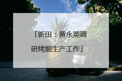 新田：黄永英调研烤烟生产工作