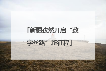 新疆孜然开启“数字丝路”新征程