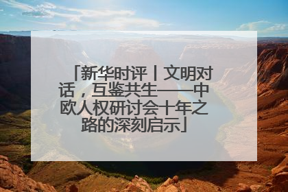 新华时评丨文明对话，互鉴共生——中欧人权研讨会十年之路的深刻启示