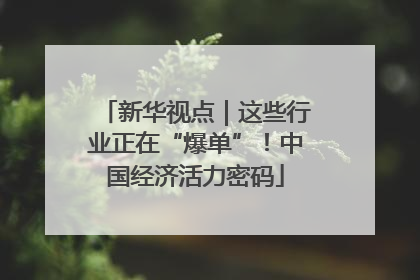 新华视点｜这些行业正在“爆单”！中国经济活力密码