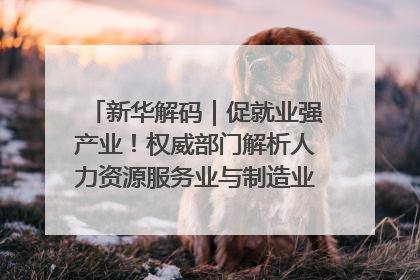 新华解码｜促就业强产业！权威部门解析人力资源服务业与制造业融合发展试点
